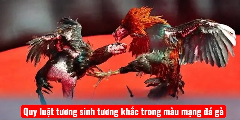 Quy luật tương sinh tương khắc trong màu mạng đá gà